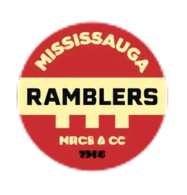 Logo 33